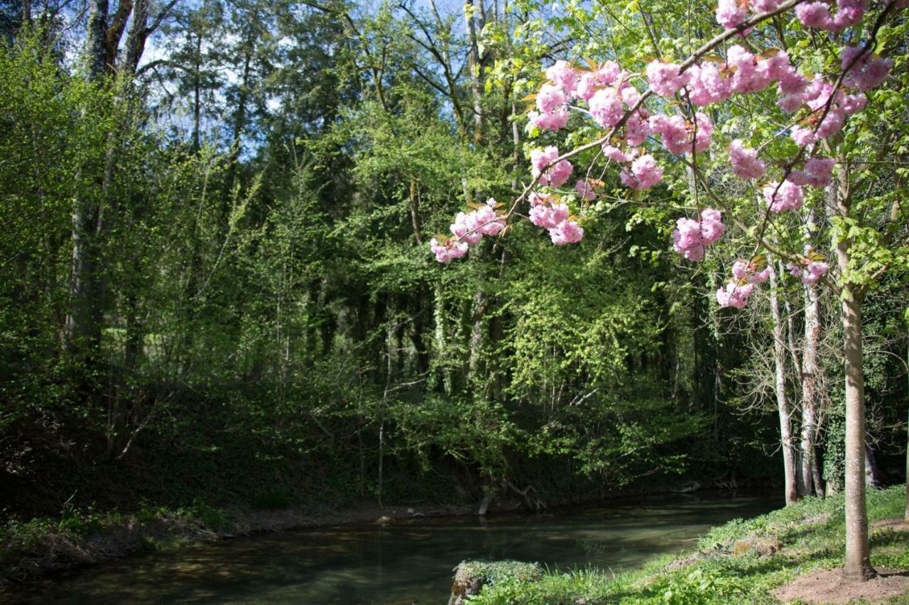 Gite Moulin De La Serree Nuits-Saint-Georges Zewnętrze zdjęcie